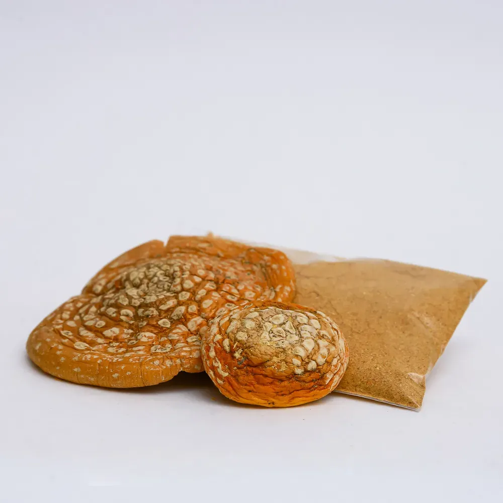 Молотые в порошок шляпки Мухомора 🍄