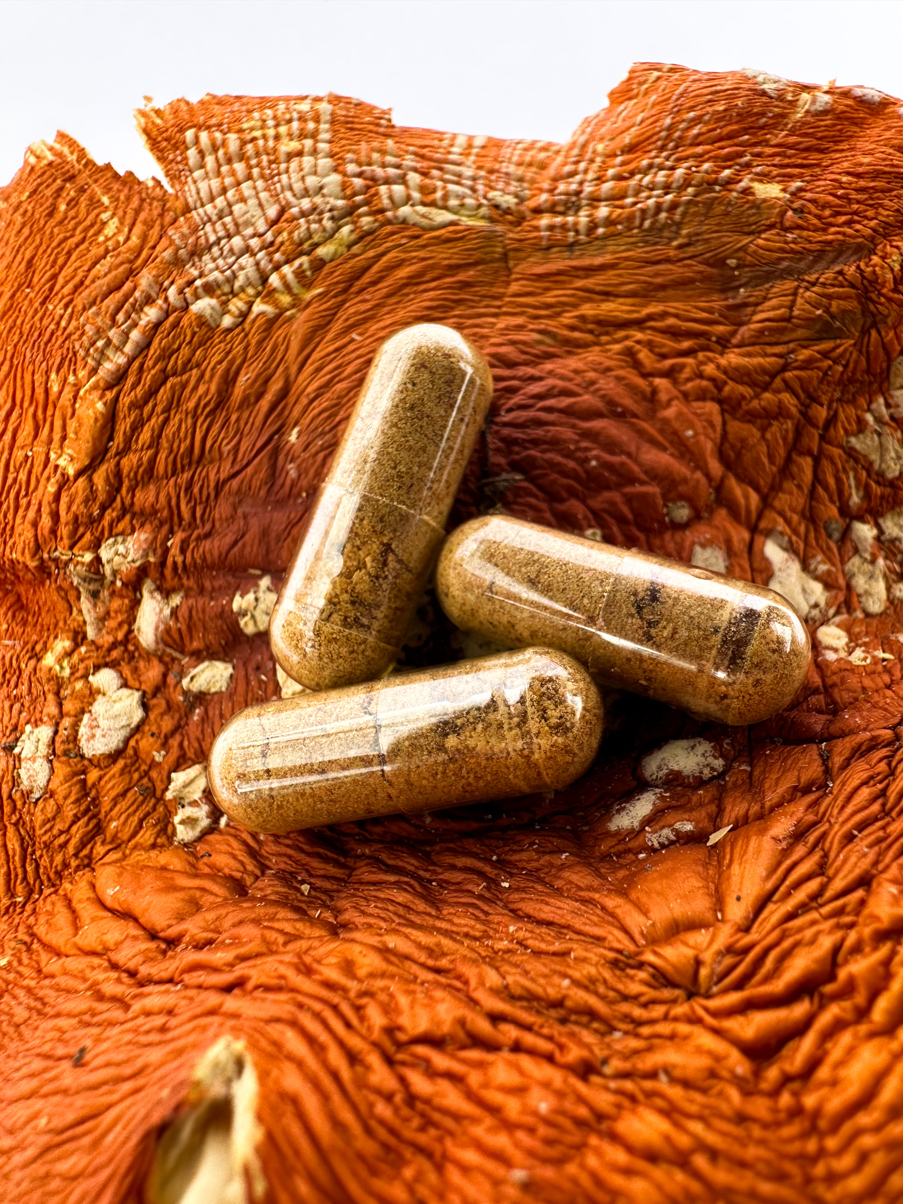  Красный мухомор в капсулах 💊🍄 