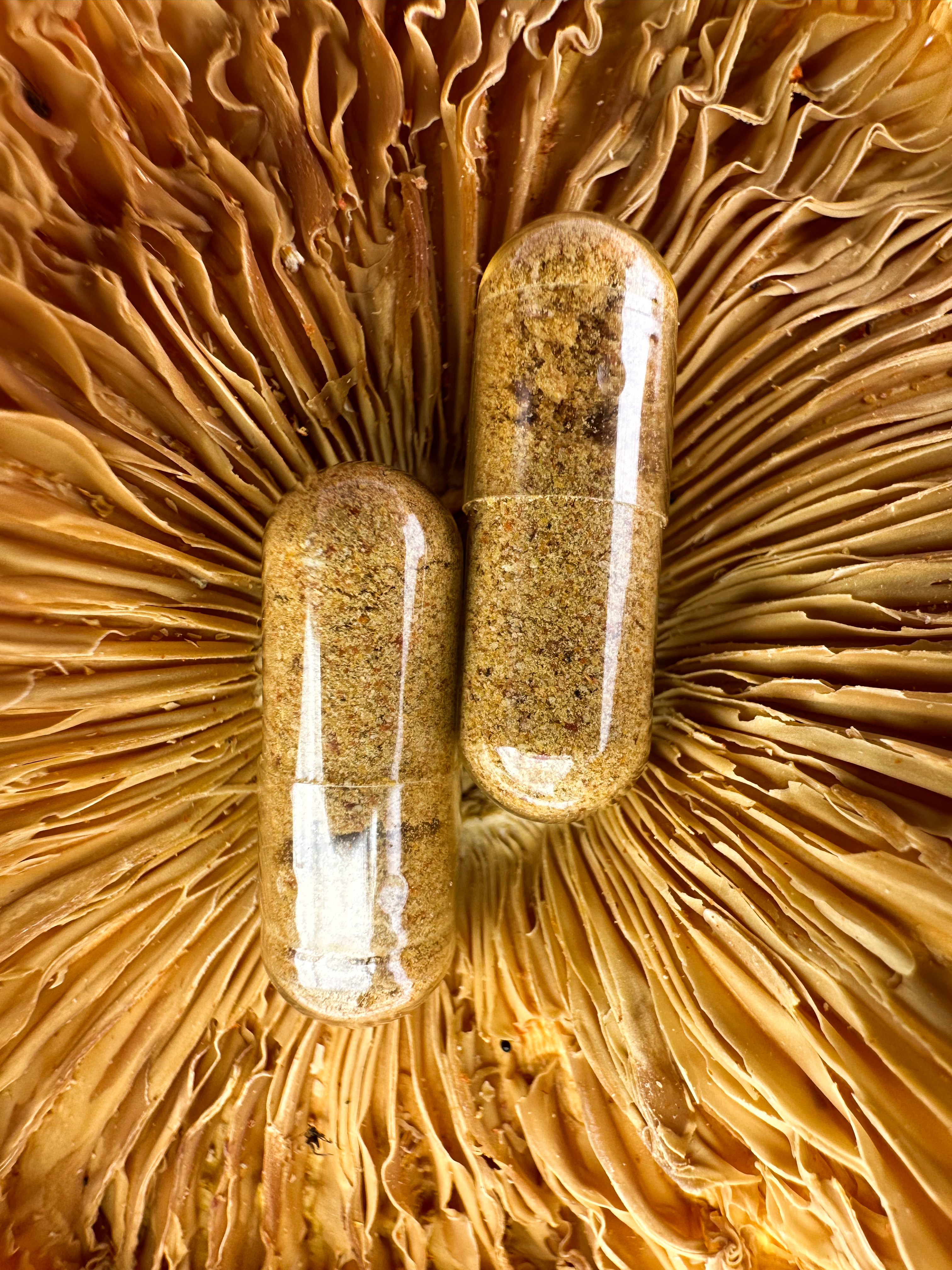  Красный мухомор в капсулах 💊🍄 