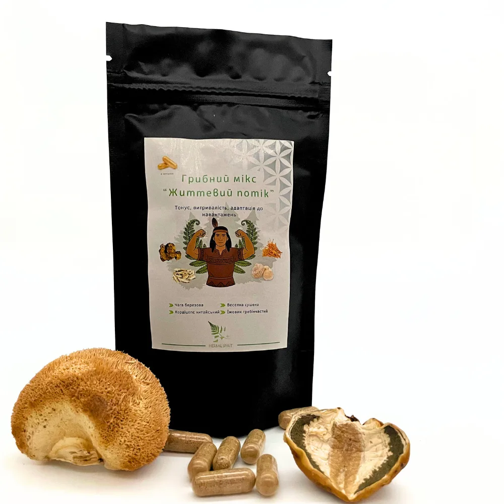Грибной Микс "Жизненный Поток" 90 капсул