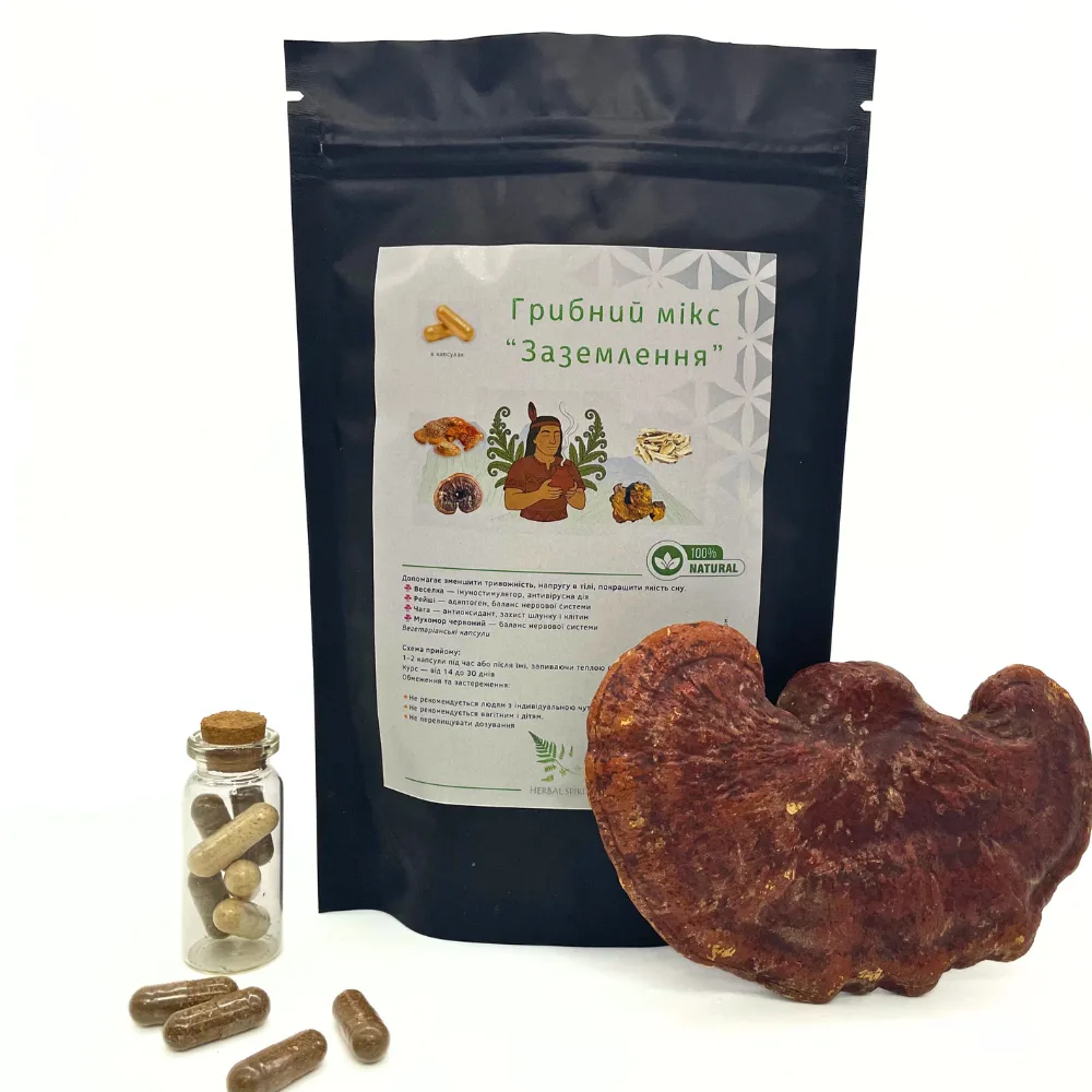 Грибной Микс "Заземление" 120 капсул