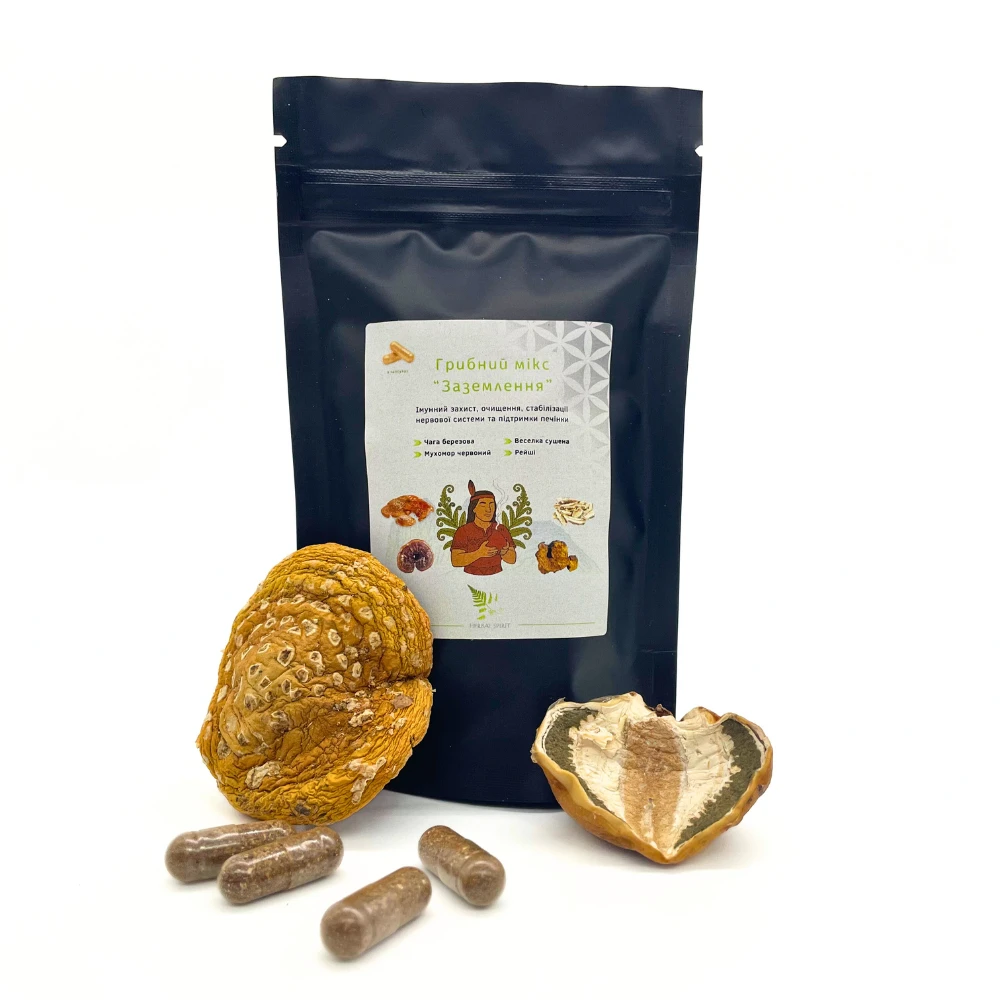 Грибной Микс "Заземление" 60 капсул