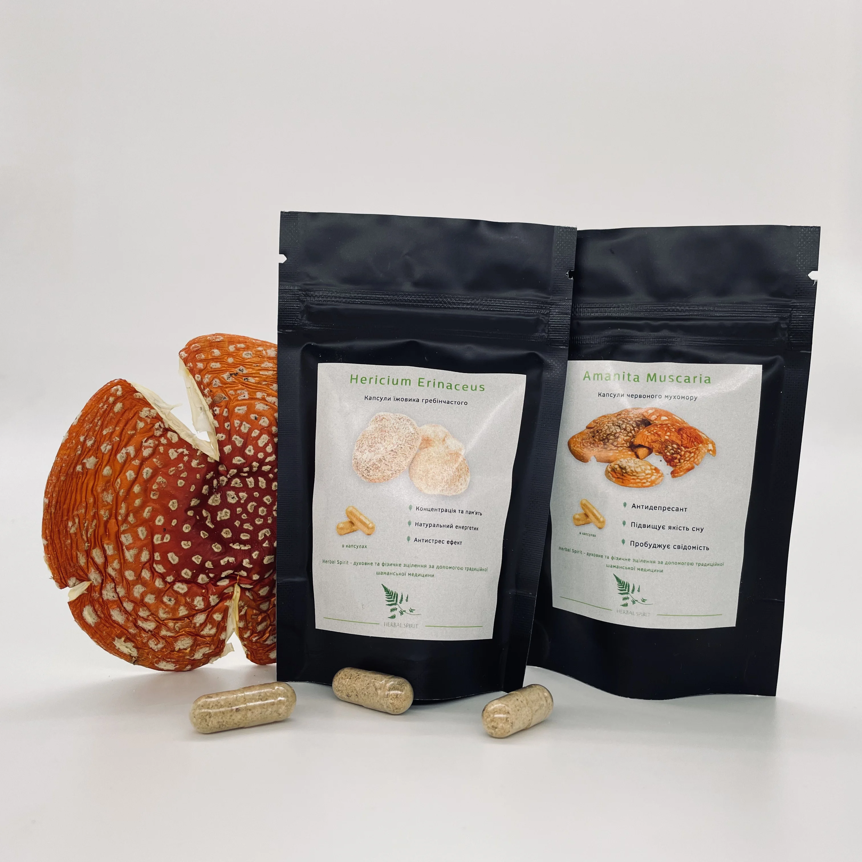 "Лесной союз" — мухомор и ежовик в капсулах | HerbalSpirit